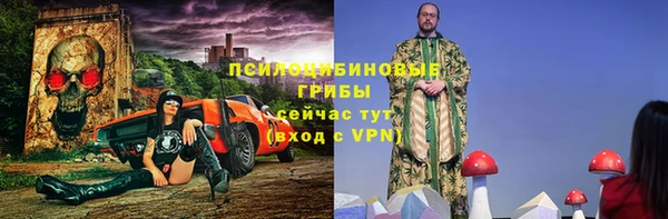 эйфоретик Белокуриха